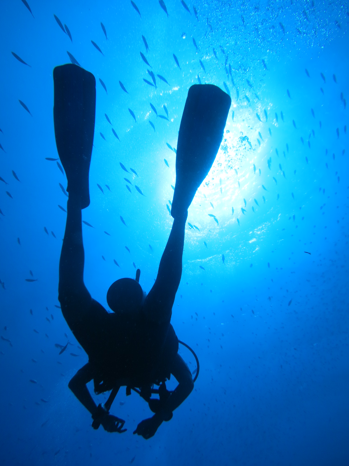 Scuba diving in Tulamben, Bali